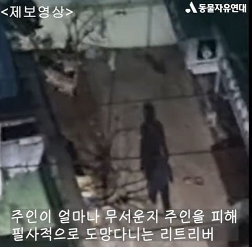 [사진=동물자유연대]