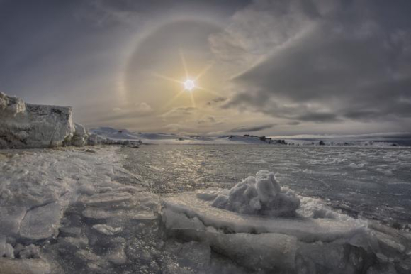올해 1월 남극의 바다얼음이 역대 1월 기록상 가장 낮은 규모를 보였다. [사진=WMO]