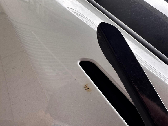 지난 1월 3일 제주에서 주차된 테슬라 차량을 담배로 훼손한 장면이 블랙박스에 찍혔다. [사진=보배드림 캡처]