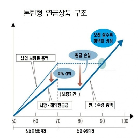 [그래픽=연합뉴스]