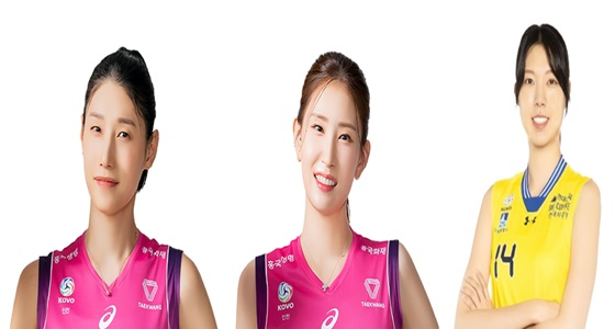 김연경, 김수지, 양효진 선수가 '레전드 스페셜 GV'를 진행한다. [사진=흥국생명 핑크스파이더스 배구단, 현대건설 힐스테이트 배구단]