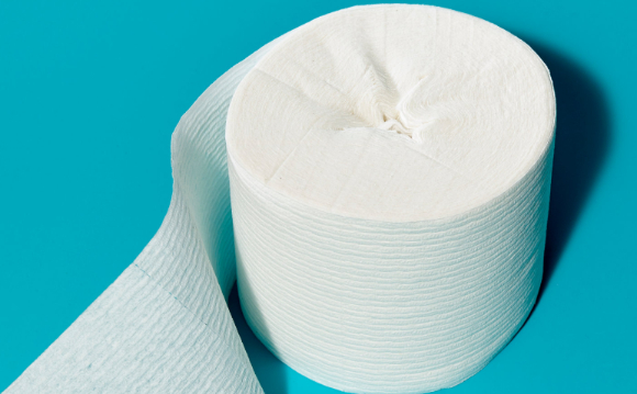 사진은 두루마리 휴지. [사진=픽사베이]
