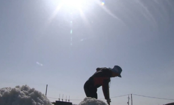  직원을 폭행하고 6000만원 임금을 체불한 혐의로 구속됐던 전남 신안군 염전업자의 근황이 공개됐다. 사진은 작업자가 염전에서 일하고 있는 모습. [사진=연합뉴스]