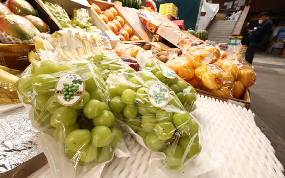 샤인머스캣 [사진=연합뉴스 자료사진]