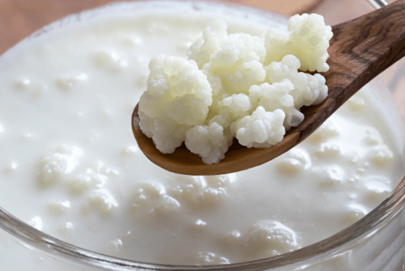 케피어 섭취가 장내와 구강 미생물 환경 개선에 도움이 된다는 연구 결과가 제시됐다. 사진은 본 기사 내용과 무관. [사진=Kinohimitsu]