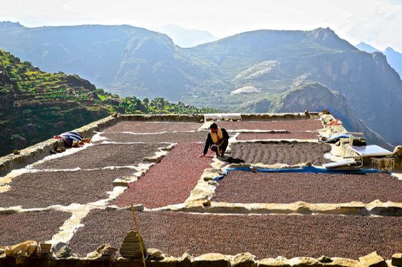Alhamdani는 Bani Matar 지역의 Bao'an 시장에 위치한 최초의 예멘 커피 매매 센터를 개설했다. 바오안 시장은 각지에서 농민들이 모여드는 전략적 요충지이며 중요한 거래장소이다. [사진=커피 매거진 '드립']