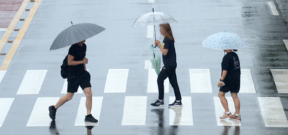 전북 전주시 덕진구 견훤로에서 시민들이 우산으로 비를 피하며 횡단보도를 건너고 있다. [사진=뉴시스]