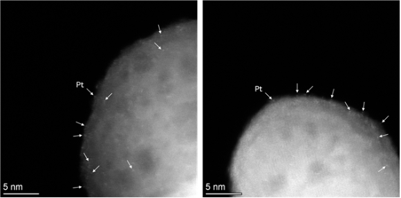 화살표로 표시된 밝은 대비점들은 지지체 표면에 하나씩 고르게 분산된 백금(Pt) 원자들을 나타낸다. 백금이 뭉치지 않고 안정적으로 분산된 상태임을 확인할 수 있다. [사진=아주대]