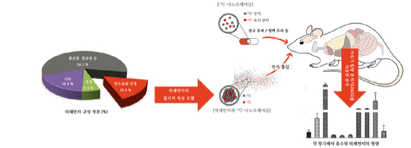 KIST 연구팀이 미세먼지가 체내 각 장기에 얼마나 축적되는지를 정밀하게 측정할 수 있는 새로운 분석 플랫폼을 개발했다. [사진=KIST]