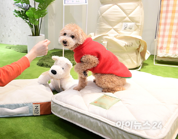 프리미엄 비건 매트리스 N32가 3월 2일 첫 'N32 데이' 행사를 개최했다. 2일 경기도 용인 기흥구 고매동 리빙파워센터 내 N32 스튜디오 기흥점에서 방문객과 함께 온 반려견이 N32의 펫 매트 '쪼꼬미 매트리스'를 체험하고 있다. [사진=정소희 기자]