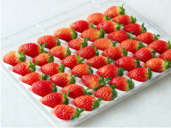 베이커리&데코용 딸기 [사진=쿠팡]