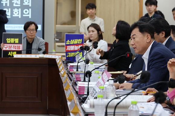 18일 정부세종청사 최저임금위원회에서 열린 제7차 전원회의에서 사용자위원인 류기정 한국경영자총협회(경총) 전무와 근로자위원인 류기섭 한국노총 사무총장이 업종별 구분 적용 관련 발언을 들으며 심각한 표정을 짓고 있다. [사진=연합뉴스]