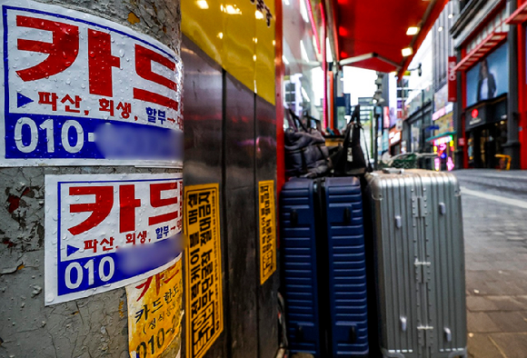 서울 중구 명동의 전봇대에 붙여진 신용카드 대출 광고물 