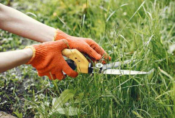 여자 친구의 체모 관리 문제로 고민에 빠진 남성의 사연이 전해졌다. 본 기사와 무관한 이미지. [사진=픽사베이@amhnasim]