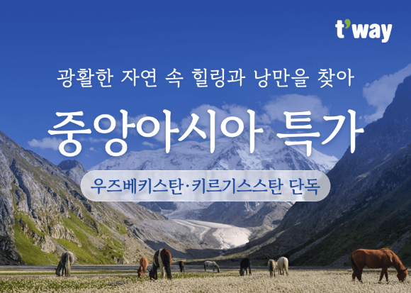 티웨이항공, 인천-타슈켄트, 비슈케크 특가 프로모션 [사진=티웨이항공]