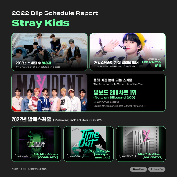 스트레이키즈 블립 연말결산 리포트 관련 이미지 [사진=스페이스오디티]