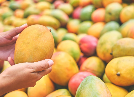 하루 2컵의 망고를 먹으면 과체중과 비만 성인의 인슐린 저항성을 줄이고, 당뇨병 위험을 낮추는 데 효과적이라는 연구 결과가 공개됐다. 사진은 망고. [사진=Tropical Mangoes]