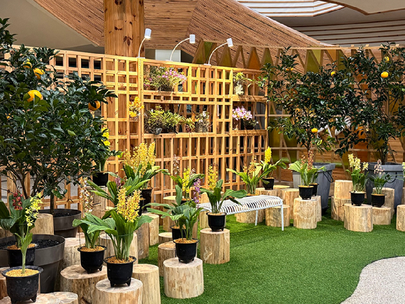 새우난초들이 전시되어 있다. [사진=한국수목원정원관리원 ]