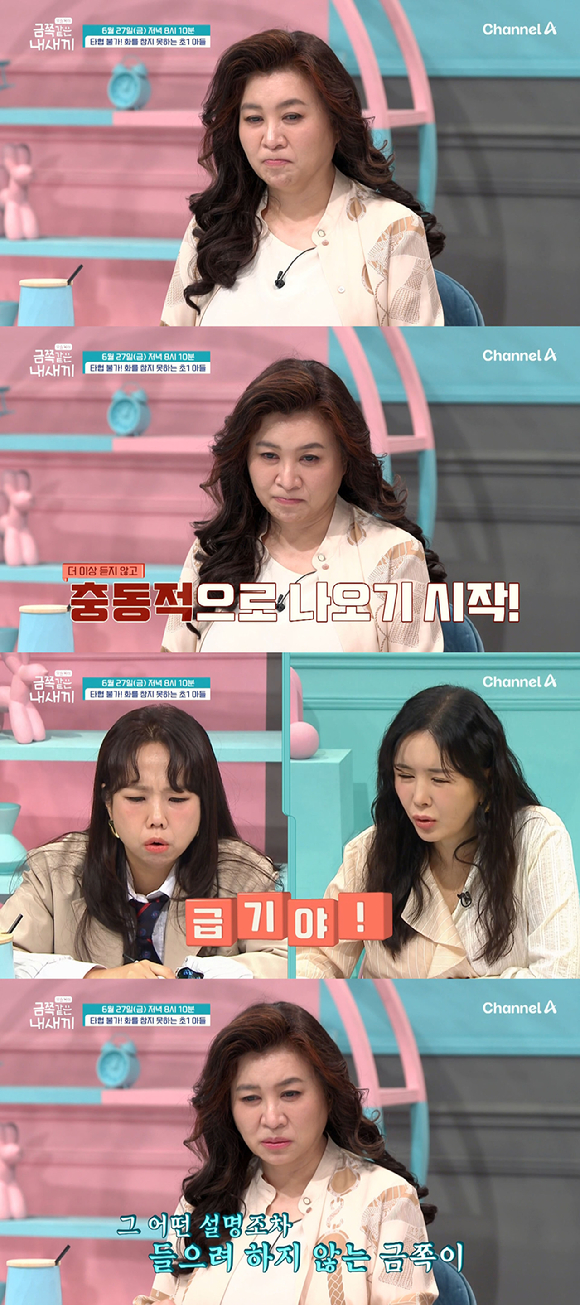 금쪽같은 내새끼 [사진=채널A ]