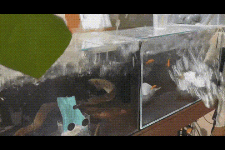 동일본 대지진이 발생한 직후인 지난 2011년 3월 15일 일본 미야기현 게센누마에서 이재민들이 폐허 속에 묻힌 자신의 집을 바라보는 모습. [사진=교도/연합뉴스]