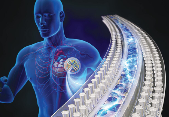 UNIST 연구팀이 차가움과 가려움이 없는 심전도 패치를 개발했다. [사진=UNIST]