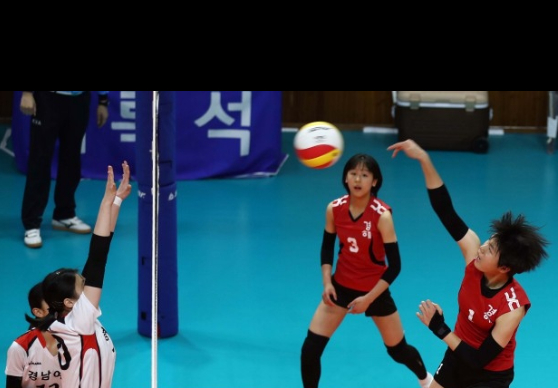 대한배구협회는 오는 3일부터 8일까지 충북 제천에서 제77회 전국남녀종별선수권대회를 개최한다. 이번 대회는 3년 만에 유관중 경기로 치러진다. 사진은 지난 2019년 종별선수권대회 여자중학교 경기 장면. [사진=발리볼코리아닷컴]
