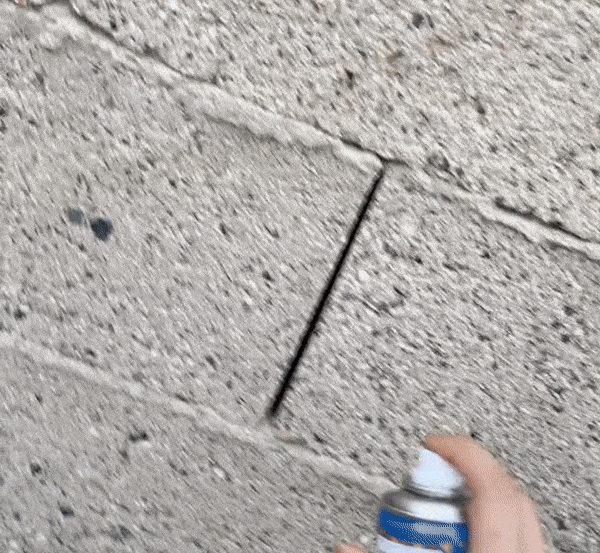  [사진=틱톡 캡처]