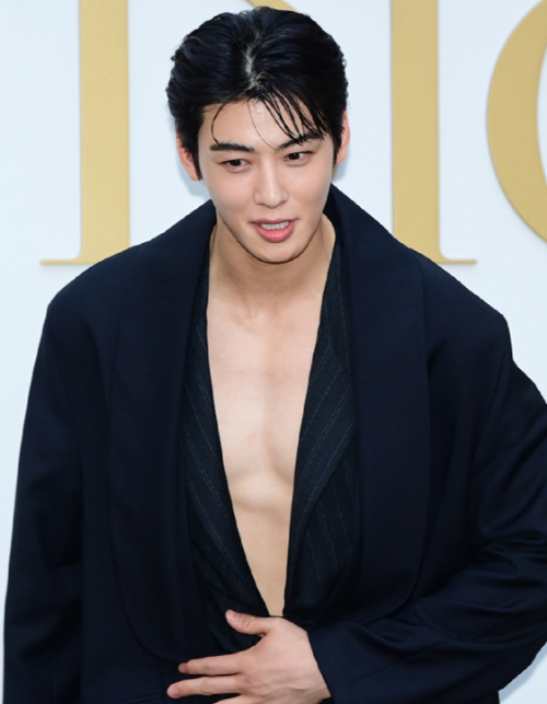 배우 차은우가 디올(DIOR) 디올리비에라 컬렉션 포토콜에 행사에 참석하고 있다. [사진=정소희 기자]