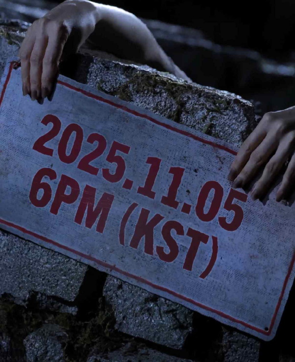 선미, 11월 5일 컴백⋯데뷔 후 첫 정규앨범 발매