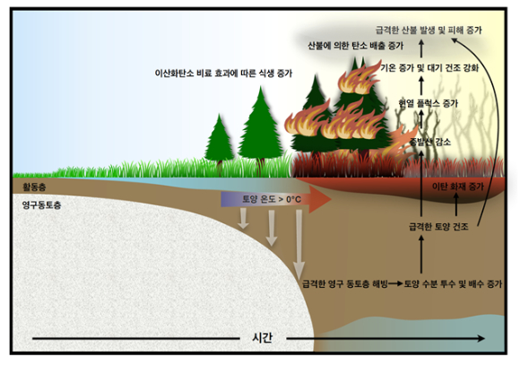 가속화된 지구 가열화로 급격한 영구동토층 해빙에 따른 북반구 극지역 산불 강화 메커니즘. [사진=IBS]