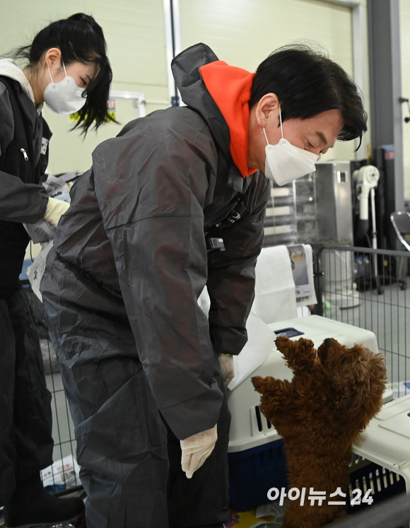 안철수 국민의당 대선후보가 7일 오전 동물보호단체 위액트 남양주 대피소에서 봉사활동을 하고 있다. [사진=국회사진취재단]