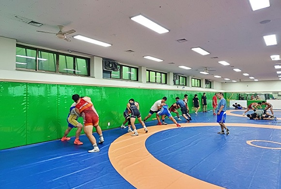 제주 전지훈련 [사진=제주도]