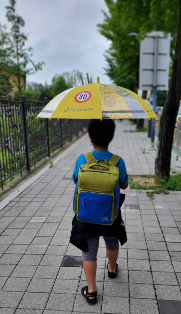인천시교육청, 장마철 통학 안전을 위한 '어린이 우산' 지급 [사진=인천시교육청]