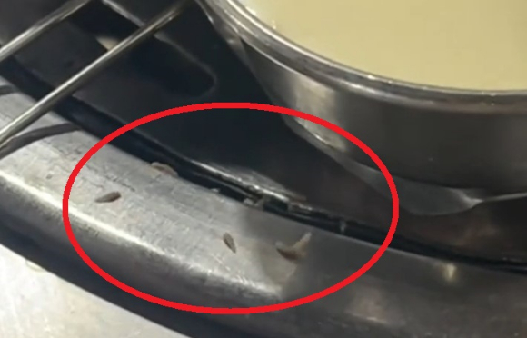 한 해외 누리꾼이 틱톡에 삼겹살 집 불판에 구더기가 있는 영상을 올렸다. [사진=틱톡 캡쳐]