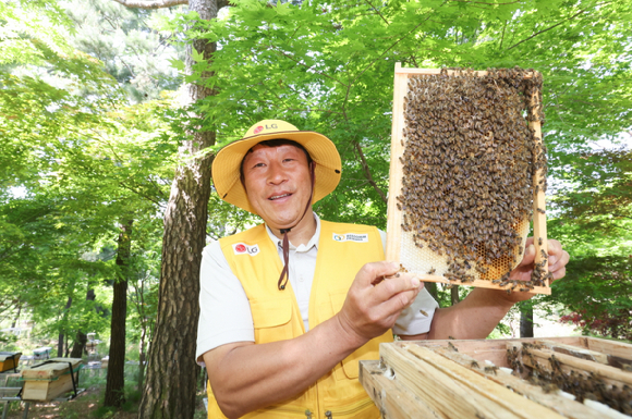 LG가 조성한 토종 꿀벌 서식지에서 김대립 명인이 꿀벌통을 들어 보이고 있다. [사진=LG]