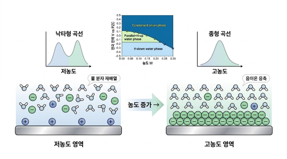 전기 이중층 구조 변화로 나타나는 &lsquo;낙타형&rarr;종형&rsquo; 곡선 전이. 국내 연구팀이 분자 수준에서 에너지 반응의 &lsquo;핵심 비밀&rsquo;을 알아냈다. [사진=KAIST]