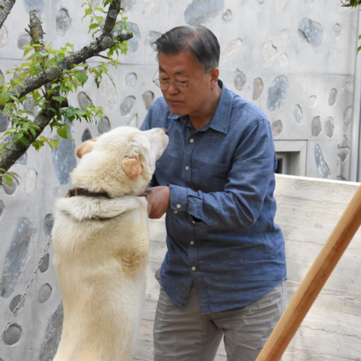 문재인 전 대통령이 지난 달 12일 경남 양산의 평산마을로 귀향한 후 근황을 전했다. [사진=문재인 전 대통령 SNS ]