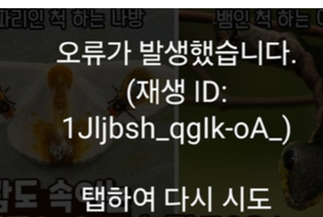 유튜브와 유튜브 뮤직 서비스에 접속 장애가 발생하면서 이용자들의 불만이 터져 나왔다. 사진은 유튜브 오류 갈무리. [사진=유튜브 갈무리]