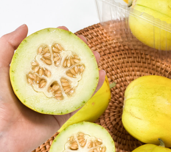 한 방송에 등장한 '망고참외'가 출연진들의 호평을 끌어냈다. 사진은 망고참외. [사진=서포트몰]