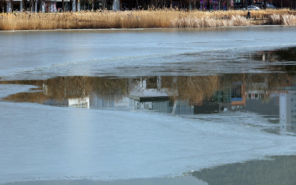 16일 오후 대구의 낮 기온이 13도를 웃돈 가운데 대구 수성못의 얼음이 녹고 있다. 2026.1.16 [사진=연합뉴스]