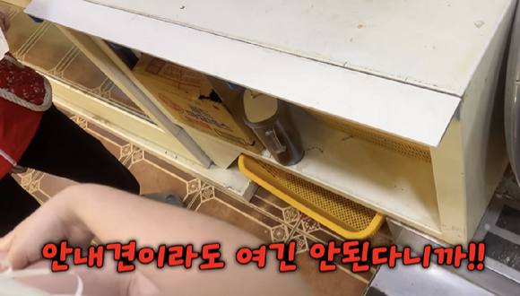 안내견을 데리고 부산 여행을 떠났다가 한 횟집에서 차별 대우를 받았다는 시각장애인의 사연이 전해졌다. 사진은 자리 이동을 거부하는 횟집. [사진=유튜브 채널 '우령의 유디오']