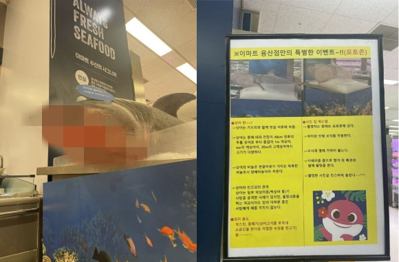  이마트 용산점 지하 1층에 전시된 상어 사체와 '상어 포토존 이벤트' 안내문. [사진=온라인 커뮤니티]