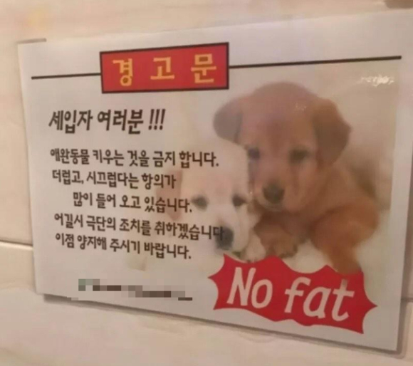 한 건물 경고문에 표기된 잘못된 영어 문구가 뜻밖의 반응을 이끌어냈다. 사진은 본 기사 내용과 무관. [사진=픽사베이 @aldemetal]