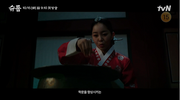 tvN 새 토일드라마 '슈룹' 3차 티저가 공개돼 관심을 모으고 있다. [사진='슈룹' 3차 티저 영상 캡쳐]
