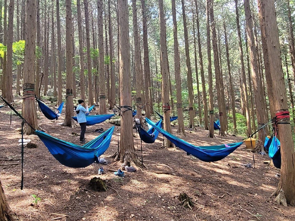 국립장성치유의숲(전남 장성군 서삼면 축령산 일원)에서 사회적 처방을 받은 광산구 지역주민이 산림치유프로그램을 체험하고 있다. [사진= 한국산림복지진흥원 국립장성숲체원]