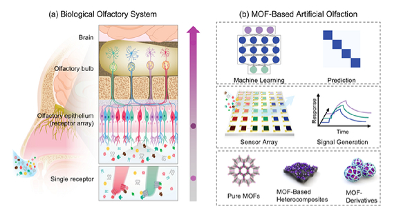 MOF 센서 라이브러리(순수 MOF&middot;복합체&middot;유도체)와 머신러닝을 결합한 인공 후각의 개발 개념도. [사진=DGIST]