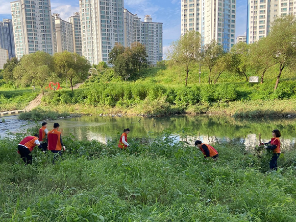 SK에코플랜트, SK에코엔지니어링 임직원들이 청계천 봉사활동에 참여하고 있다. [사진=SK에코플랜트]