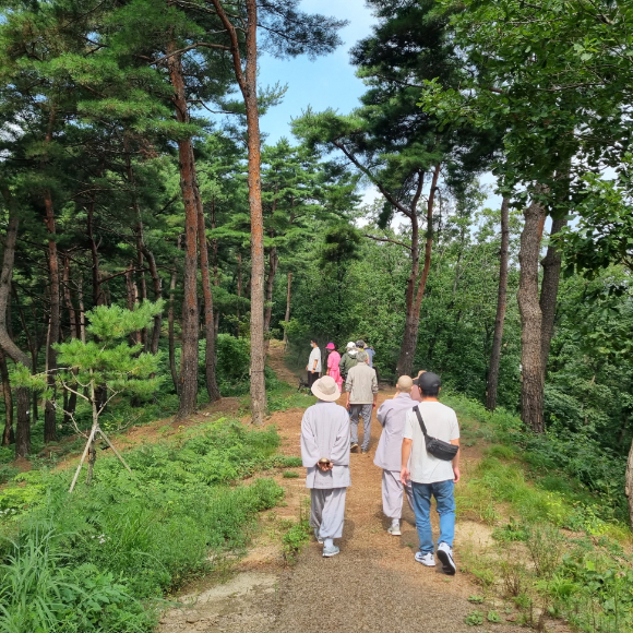 양양노인복지관 국립하늘숲추모에서 웰다잉 산림치유 프로그램을 체험하고 있다. [사진= 한국산림복지진흥원]