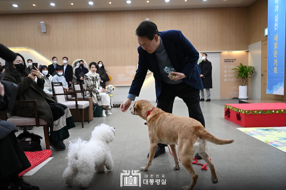 윤석열 대통령 부부가 크리스마스 이브인 24일 오후 경기도 용인시에 위치한 삼성화재 안내견 학교에서 은퇴 안내견(견명: 새롬이)을 분양 받았다. [사진=대통령실]