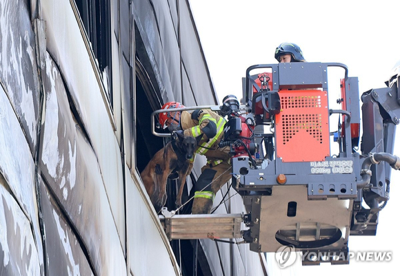 소방 관계자가 21일 오전 대형 화재가 발생한 대전 대덕구 안전공업 건물로 구조견과 진입하고 있다. [사진=연합뉴스]